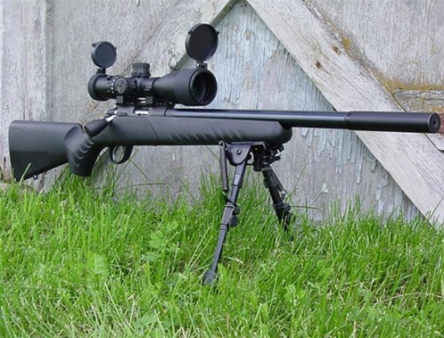 show me a good looking bolt action 22 - AR15.COM